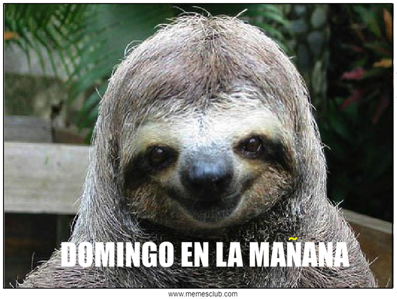 Feliz Domingo
