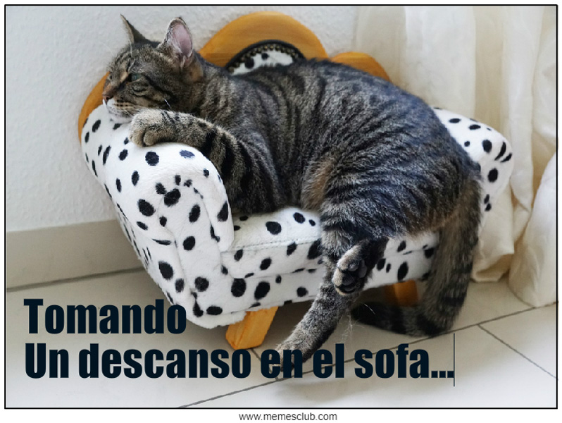 Tomando Un Descanso